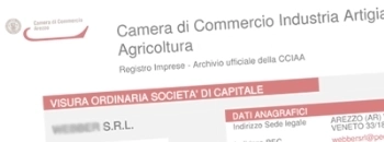 <p>La <strong>Visura Camerale Ordinaria</strong> riporta le informazioni legali dell&rsquo;impresa e i dati principali a livello economico e amministrativo.</p>
